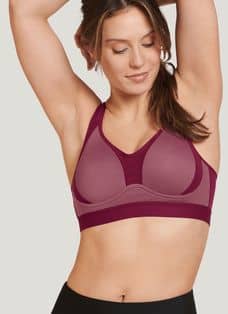 Shop Jockey Bra For Women Original with great discounts and prices online -  Jan 2024