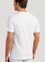 Classic V-Neck 12-Pack