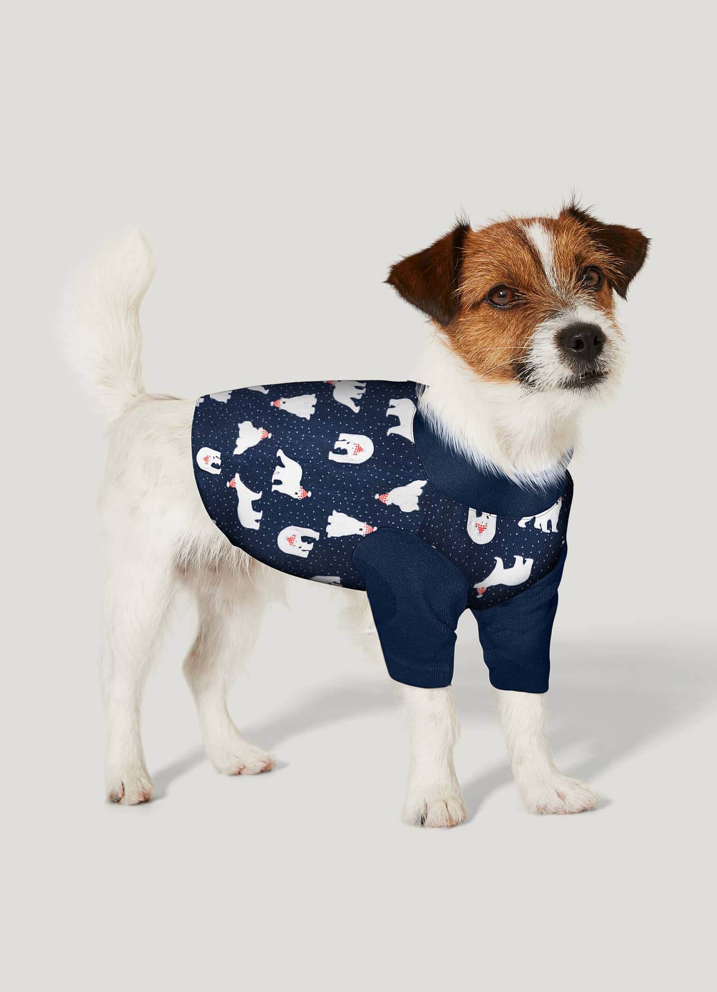 Crop shop best sale dog pajamas